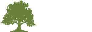 Focus Tree Care